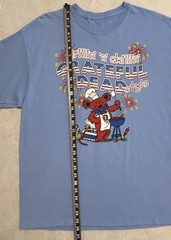 Liquid Blue GRATEFUL DEAD Grillin n Chillin 4th of July Fireworks XL TShirt 2011