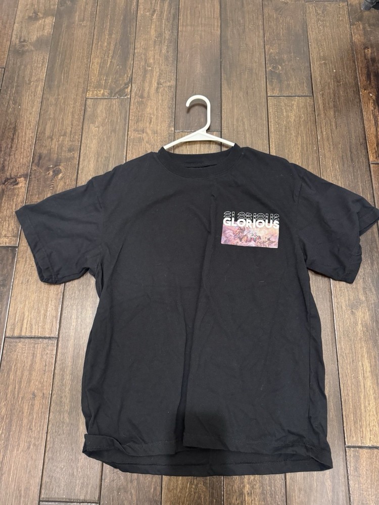 PacSun Men’s Black “Glorious” Los Angeles Graphic Print Crew T-Shirt M