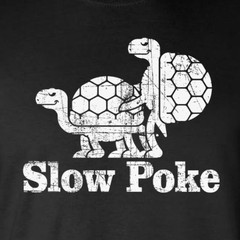 Slow Poke Funny Turtles Long Sleeve T-Shirt / Adult Rude Vulgar Sarcastic Humor