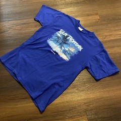 Carnival Cruise Lines Blue T Shirt Mens M Crewneck Isla Roatan Retro 90s Vintage