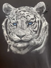 Vintage Y2k Big Fish Sportswear Big Print Graphic White Tiger T-shirt XL