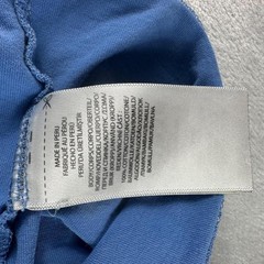 Polo Ralph Lauren Spellout T shirt Mens Large Blue Preppy Athleisure
