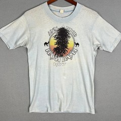 VTG Ann Arbor Hash Bash 1977 T Shirt Fits XS Thin Distressed 420 Protest USA