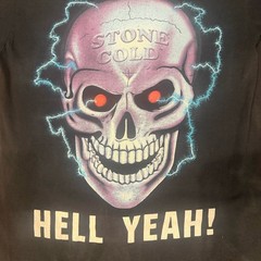 Vintage WWF Stone Cold Shirt Mens Large Wrestling Changes Hell Yeah 1998 Skull