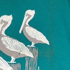 Vtg Dana Point California 90s T Shirt Single Stitch XL Puff Print Distress Beach