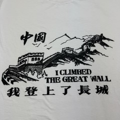 Vintage I Climbed The Great Wall T Shirt Adult Large Tourist China 90s Graphic