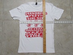 PEELANDER-Z FEST 2010-2019 Austin Texas T-SHIRT Mens SMALL Concert Tour Limited