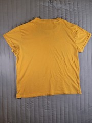 Aeropostale Men’s Large Yellow Graphic T-Shirt Original Brand Mountain Crew Neck