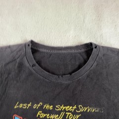 Lynyrd Skynyrd Shirt Mens XL Black Last Of The Street Survivors Tour 2018