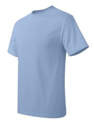 Below WHOLESALE Blank DiY T-Shirt – 39 HANES 5180 5250 Bulk Lot
