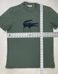 Lacoste Graphic T-shirt Men Size 3 Small Green Short Sleeve