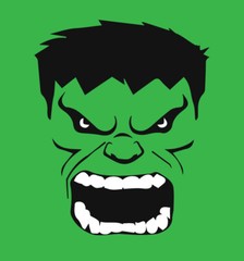 Incredible Hulk face shirt comics movie t-shirt Avengers adult youth men’s boys