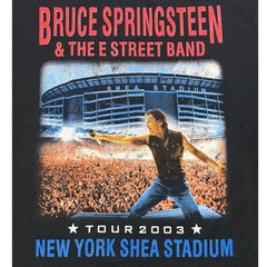 Bruce Springsteen 2003 Shea Stadium Tour Shirt Large Long Sleeve