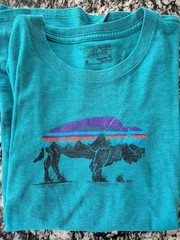 MEN’S PATAGONIA MEDIUM TURQUOISE T-SHIR IN EXCELLENT CONDITION