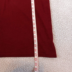 PATRIOTIC American Eagle Outfitters Men’s Graphic Crew Neck Tee Red Size L