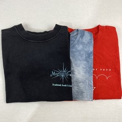 Wholesale Lot of 30 Modern/Vintage Mix Short Sleeve Tee Shirts (Sizes In Desc)
