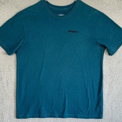 Patagonia T-Shirt Mens Large Teal Blue Responsibili-Tee Graphic Tee Short Sleeve