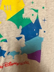 Walt Disney World Men’s 2018 T Shirt 3/4 Sleeve Gray and Red Size XXL