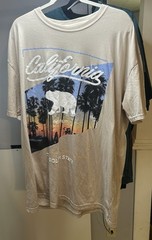 Lot Of 12 Men’s 3xl T-shirts Preowned Multi Brands