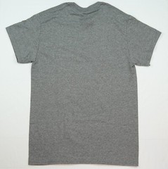 Legend of Zelda LINK Gray Green Gold T-Shirt Official Nintendo Mens Sizes Hyrule