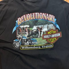 Vintage 1998 Harley-Davidson Ridin’ Out The Storm Panther T-Shirt XL