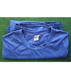Lot of 6 Blue Performance T-Shirts Lot – Athletic Gym Bulk Sizes S M XL