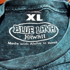 Blue Hawaiian Sea Turtle Motif Graphic T-Shirt Size XL Men’s Casual Summer Beach