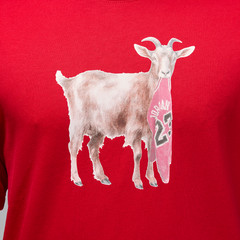 Nike Air Jordan GOAT Jumpman 23 Bulls Graphic T-Shirt Red Men’s Sz M New