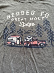 Great Wolf Lodge T Shirt Mens Large Gray Camping Graphic Tee Outdoor Travel