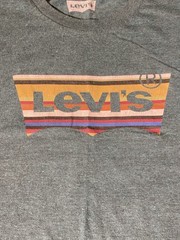 Levi’s T-Shirt Men’s Teal Batwing Logo Graphic Tee Short Sleeve Casual Shirt XXL