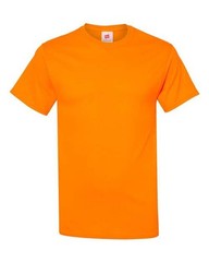 Hanes 5170 Unisex EcoSmart T-Shirt