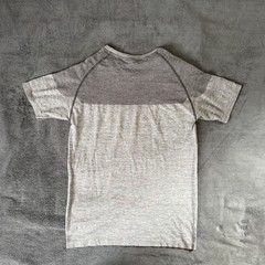 OG Gymshark Phantom Seamless T-Shirt in Grey (2016 David Laid)