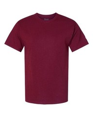 Champion Unisex Classic T-Shirt – T425