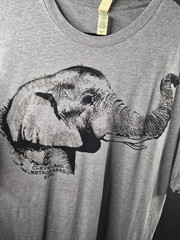 Next Level Sustainable Men’s XL Gray Cotton Zoo Elephant Graphic Tee