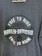 Harley Davidson Shirt Adult Size XL Gray Chandler Arizona Graphic Biker Tee Mens