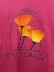 Vintage 90s Carmel California Floral Graphic Shirt Pink XL State Flower Poppy