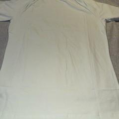 Athletic Fit T-shirt In Line Sorbet- Large -Brand- Tailored Athlete
