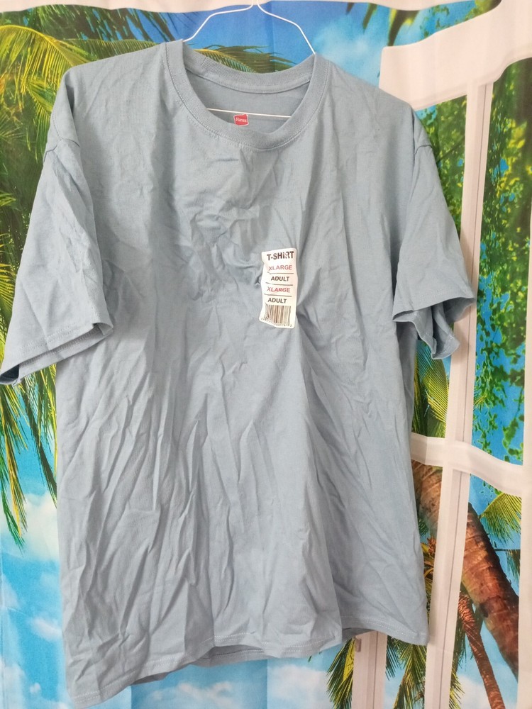 Hanes  Mens Short Sleeve Authentic 100% Cotton Crew Neck Stylish T-Shirt