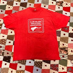 Vintage Plum Island Employees Association T Shirt 1980’s Hanes USA XL
