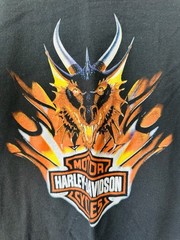 Harley Davidson T Shirt Cancun Mexico Dragon Phoenix Flame Shield Medium