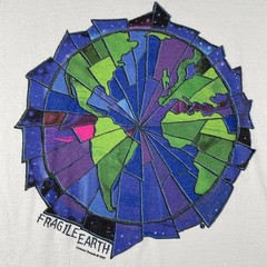 Vtg Delta Large White Shirt Fragile Earth Common Threads 90s Made In USA Art Tee