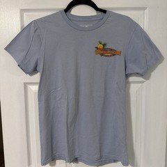 Disney Cruise Line Castaway Cay Mens T-Shirt Size M Blue Mickey Mouse Cruising