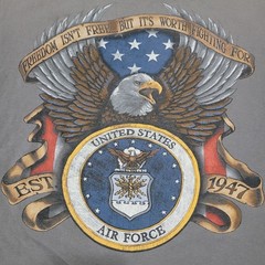 Bayside U.S. Air Force Graphic Tee Shirt Mens Large Faded USA Made