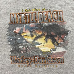 Harley Davidson Shirt Men’s Large Gray Bikercore Myrtle Beach Outdoor Biker VTG