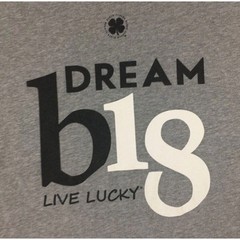 Black Clover Dream B18 Shirt Mens Small Gray Live Lucky Motivational Tee Golf
