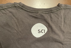 Skateboard Shirt What Could Possibly Go Wrong Grey Small District Made SCI