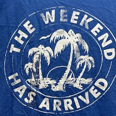 Chubbies The Weekend Has Arrived Short Sleeve Blue T-Shirt Men’s XL NWT