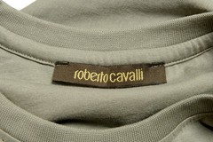 Roberto Cavalli Men’s Gray Graphic Print T-Shirt Sz S M L XL 2XL