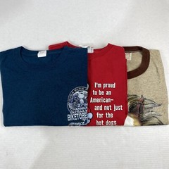 Wholesale Lot of 30 Modern/Vintage Mix Short Sleeve Tee Shirts (Sizes In Desc)