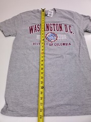 Stellar Washington DC T-shirt Size M Medium Gray District of Columbia Cotton